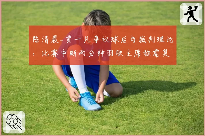 陈清晨_贾一凡争议球后与裁判理论，比赛中断两分钟羽联主席称需复核