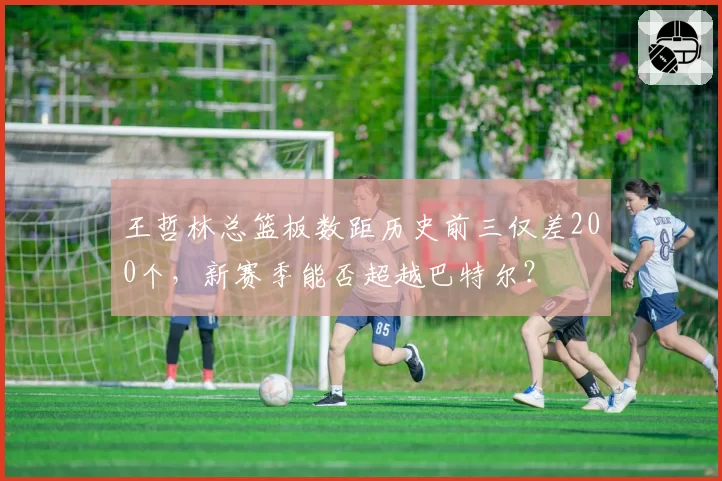 王哲林总篮板数距历史前三仅差200个,新赛季能否超越巴特尔?