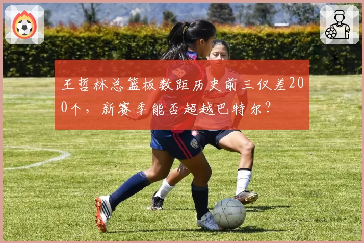 王哲林总篮板数距历史前三仅差200个，新赛季能否超越巴特尔？