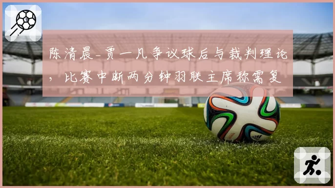 陈清晨_贾一凡争议球后与裁判理论,比赛中断两分钟羽联主席称需复核
